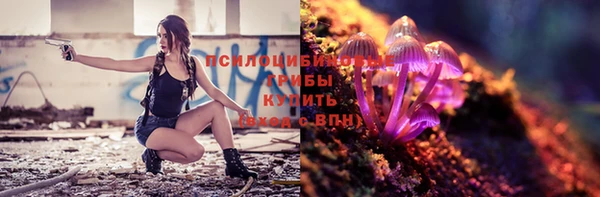 прущие крисы Магас