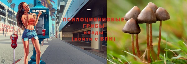 спайс Майский