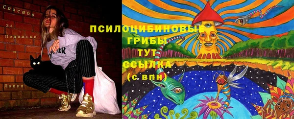 бутират Магадан