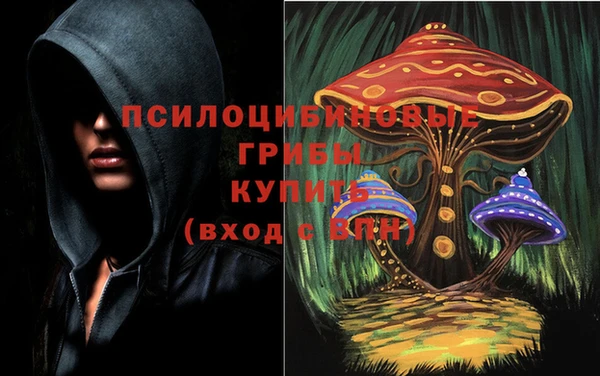 бутират Магадан